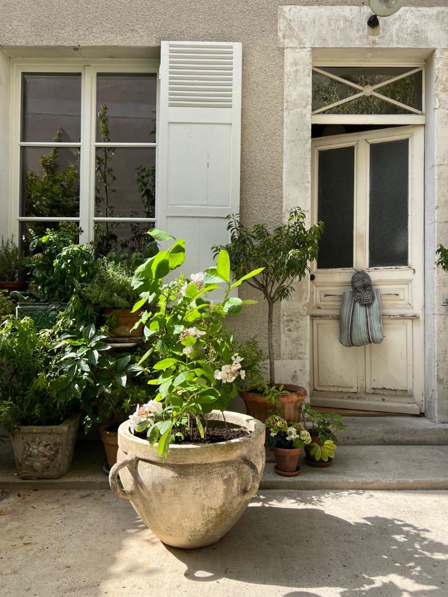 Large cement planter