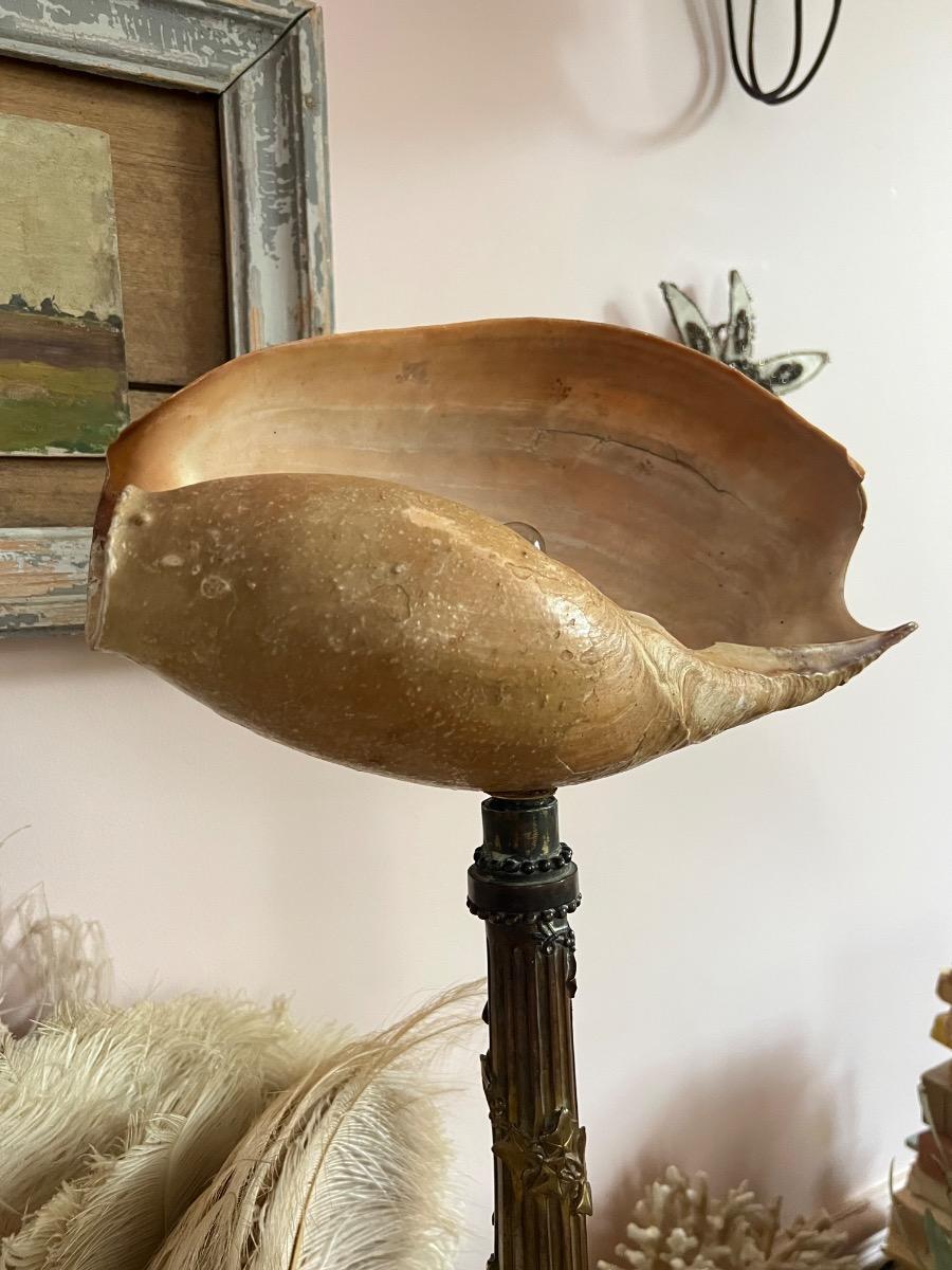 Lampe marbre bronze coquillage