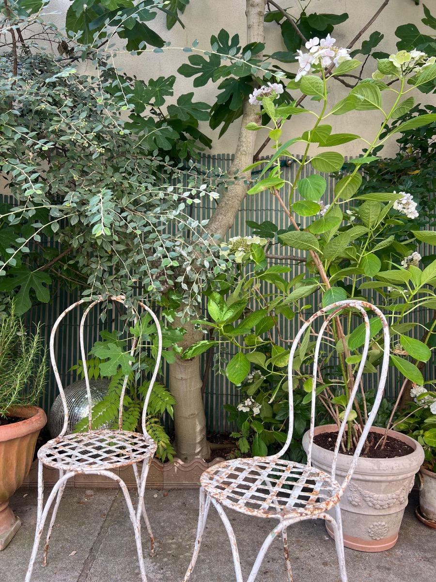 Paire de chaises de jardin XIXème